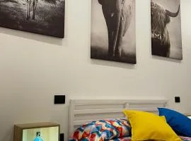 OIKOS b&b