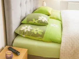 Vila u Šebestů - apartmány Volary