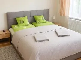 Vila u Šebestů - apartmány Volary