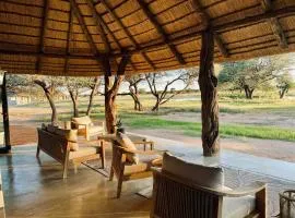 Avenir Safari Group