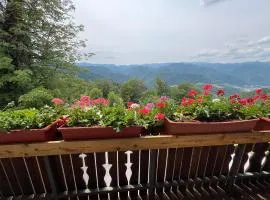 Apartma Mohorič