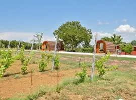 Terre Di Nacchia