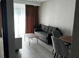 Cristal Loft C block 203 room
