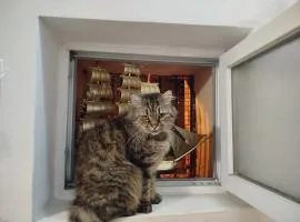 Harmony Backpackers Hostel