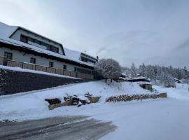 Apartmán Hájenka - Makov, hotel v destinaci Makov