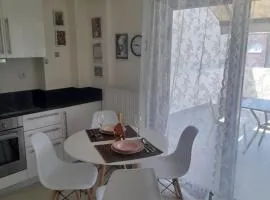 Anesis Premium Living