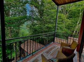 თორო Thoreau, hotel in Buriaki