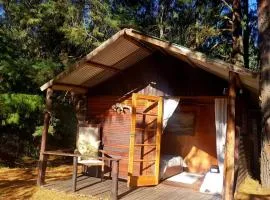 Whistling Woods Cabin at Drakensberg International Backpackers