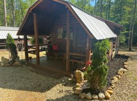 Big Bear Log cabin, cabin in Cosby