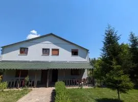 Green Oasis Villa
