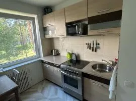 Sedulinos apartment