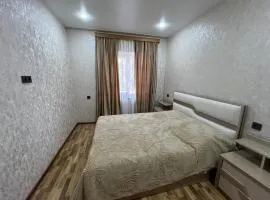 Apartment Lizi