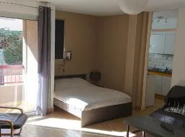 Aux plaisirs du Conflent - Spacieux T1 en RDC avec balcon - Equipement Classé 3 étoiles -