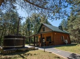 Namelis su pirtele, hotel in Druskininkai