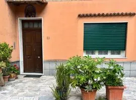 Domus Mea
