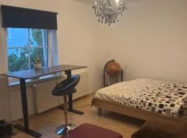 Komfortzimmer im modernen Stil