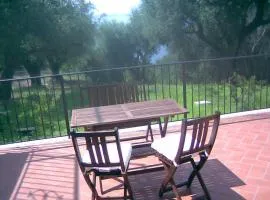 Casa Vacanze in collina - Marina di Camerota