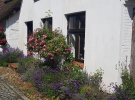 Fischerstern, hotel v destinaci Maasholm