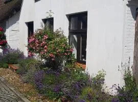 Fischerstern