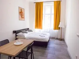 Soukromý pokoj v centru C2