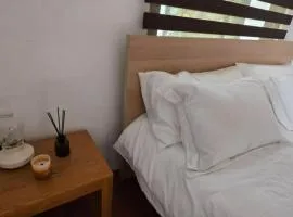 Modern chalet type building set in quite garden area