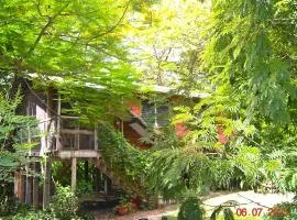 Family Treehouse Retreat Cozy Cabin in Tropical Gardens, Minutes from Ruins
