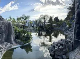 Oasis Serenity