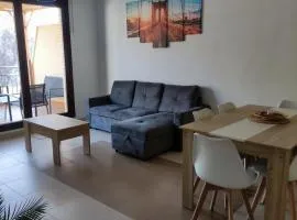 The New House