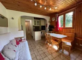 Appartement cosy pour 4 pers avec terrasse, proche commerces et télécabine à Morillon - FR-1-642-43