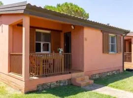 Apartments in Montalto Di Castro - Viterbo (Provinz) 54304