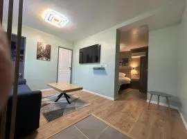 Suites appartement 1 chambre