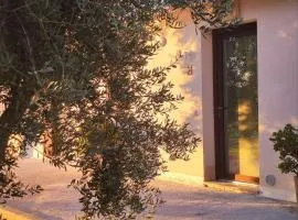 b&b DA GINO