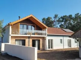 Eco Charm Discovery Quinta da Oliveirinha