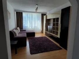 Central Residence