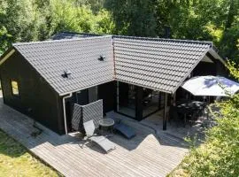 Large Holiday Home With Hot Tub By Vig Lyng