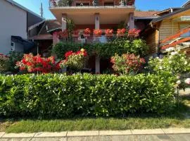 Apartman Jovanović