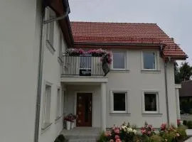Willa Róż