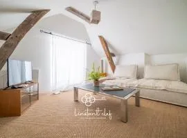 Duplex raffiné au Mans tram & circuit 24H - L'Instant Clef