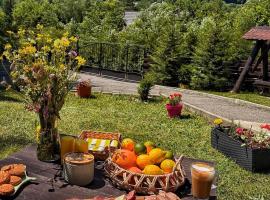 Vila Aldor, hotel i Bran