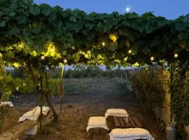 La Rondine bed and breakfast