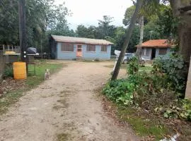 Buddle Camping Ground