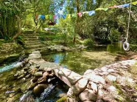 Cinco Lunas VEGETARIAN Retreat Oasis
