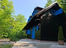 Blue House