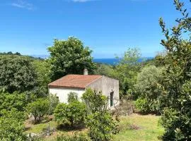 La Casina in the Orange Grove