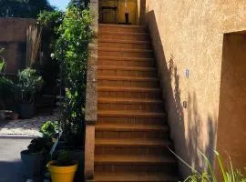 appartement proche zenith