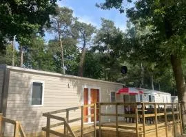 Care-accessible Cosy Cottage 4 personen