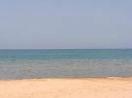 Sea Nest
