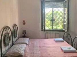 B&B Corapi