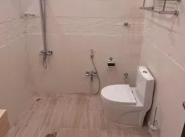 شقة بغرفة نوم وصالة