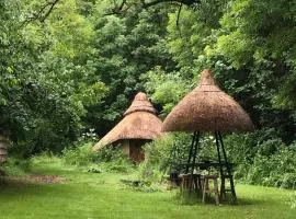 Thatched Roundhouse in Somerset Woodland